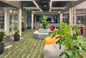 Amenajari-gradini-interioare-birou