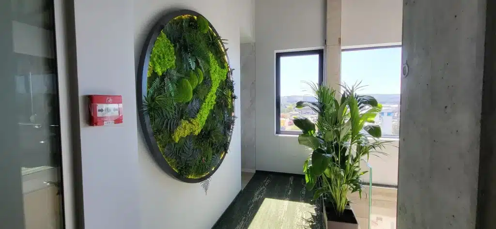 cladiri verzi.gradini interioare