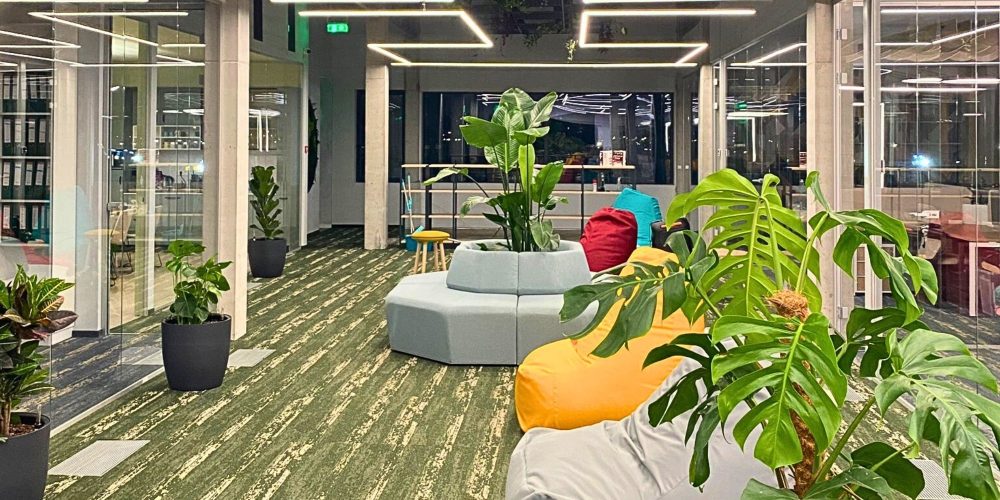 Amenajari-gradini-interioare-birou