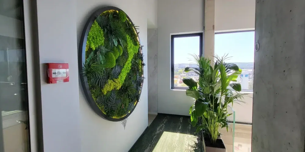 cladiri verzi.gradini interioare